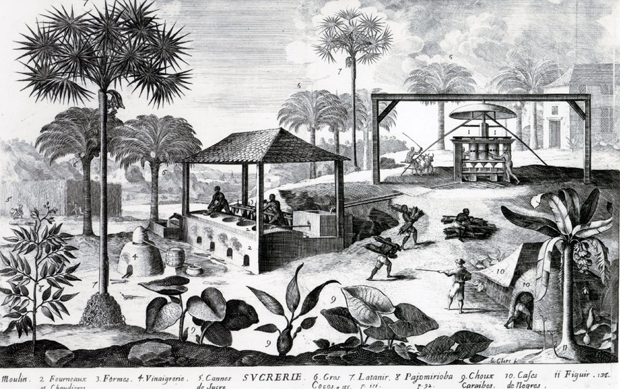 Sucrerie � Saint Domingue